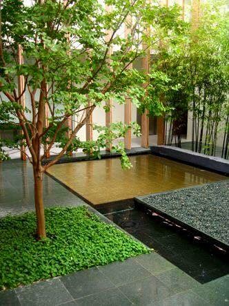 courtyard-indoor-plants