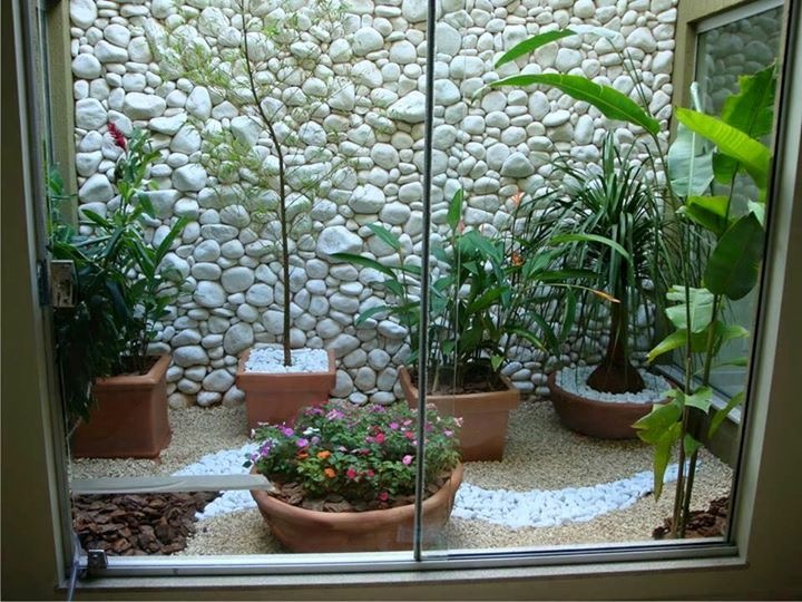 courtyard-resident-indoor -plants