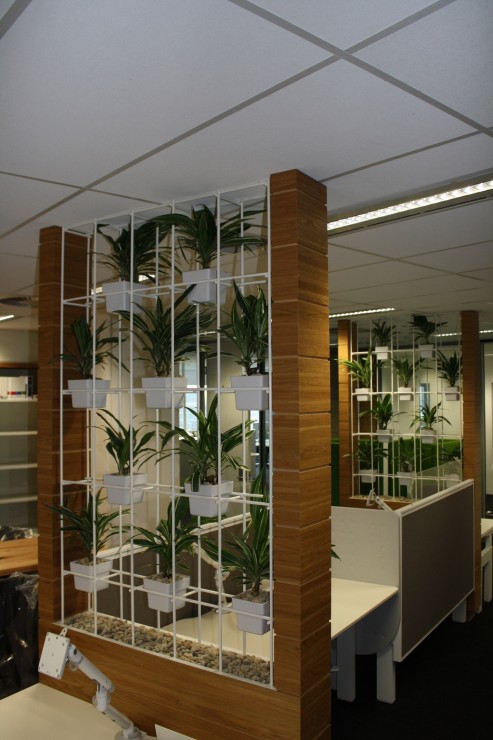 vertical-planting-indoor