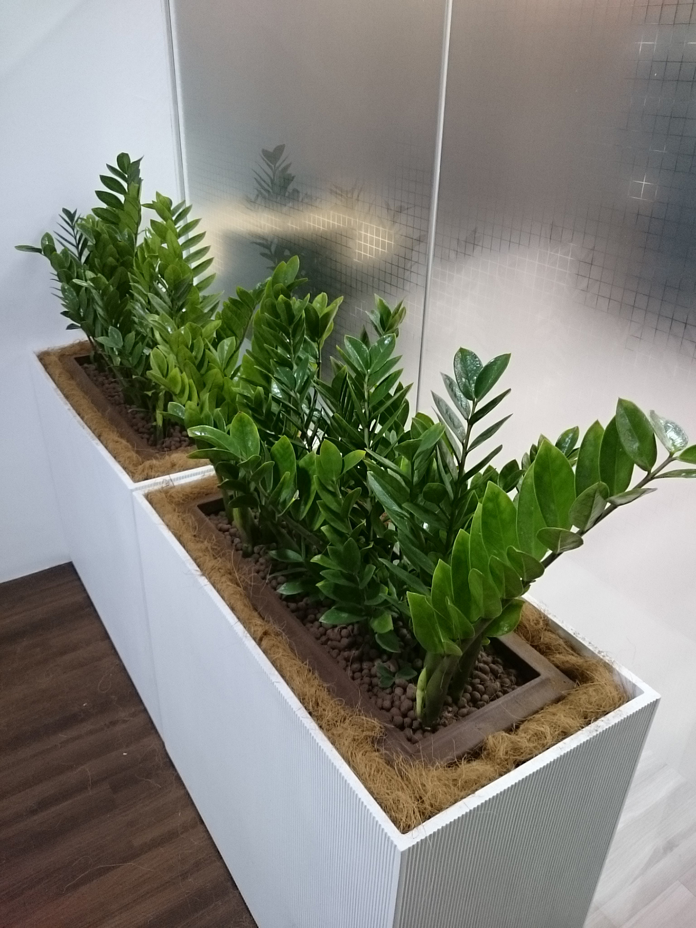 modern-comtemporary-pot