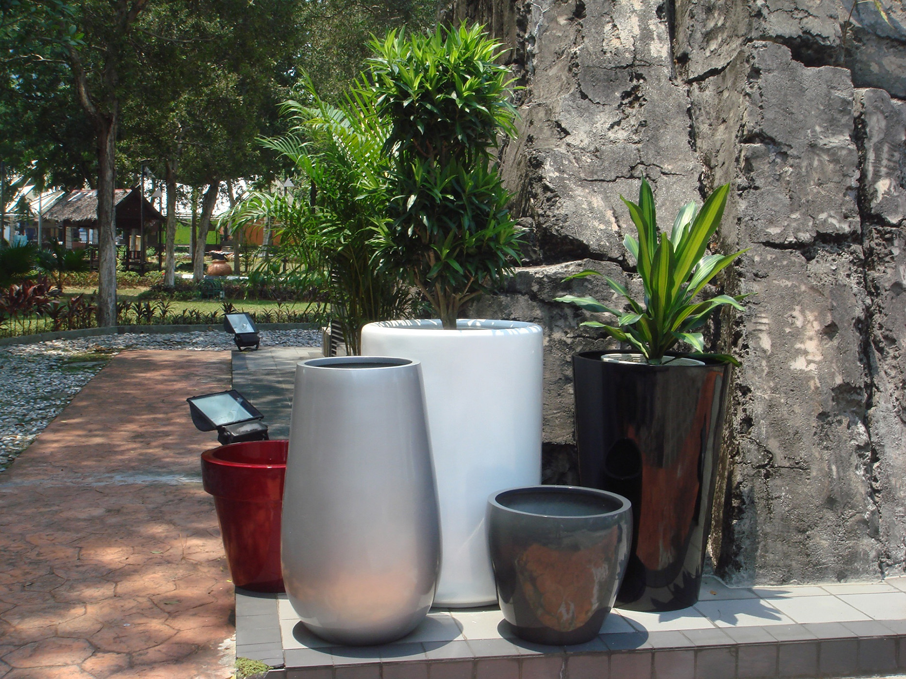 comtemporary-pots-and-plant